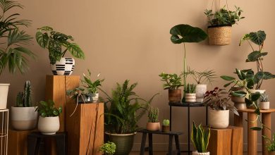 Wooden Plant Stand