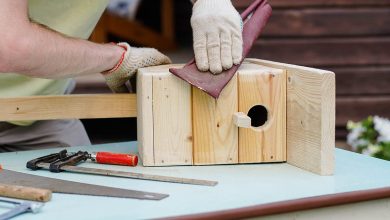Birdhouse Making