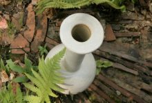 pot in garden